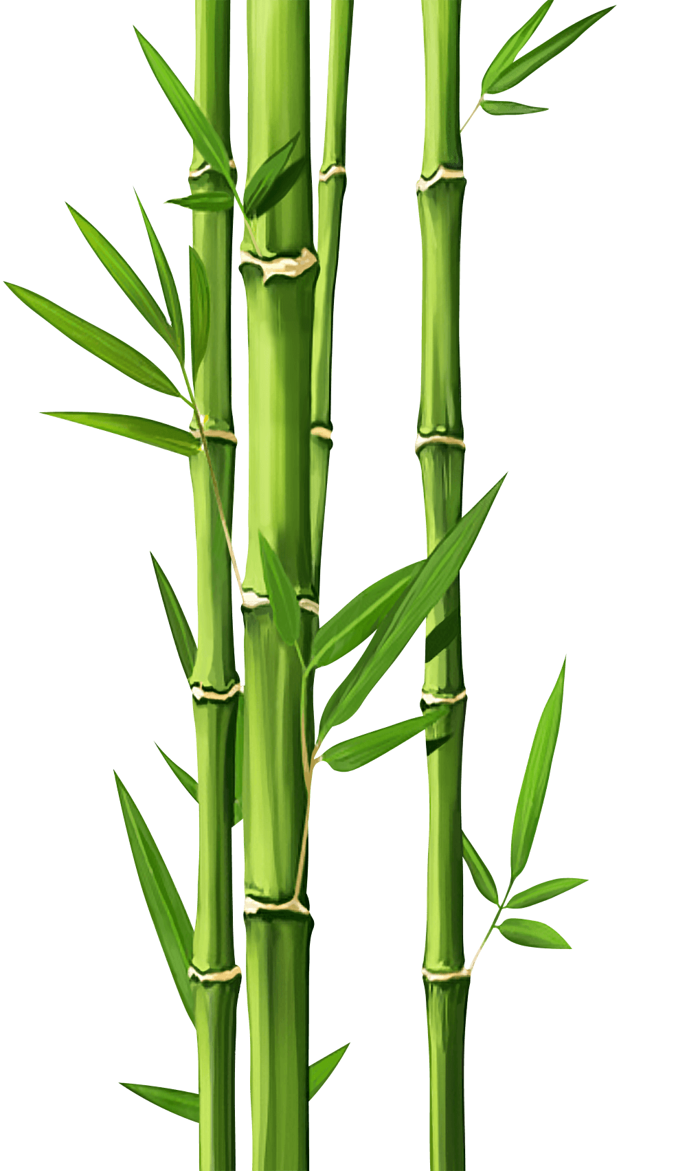 Better Bite Ventures Asia's alt protein fund